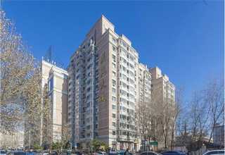 连云港龙眼苗推荐厂家