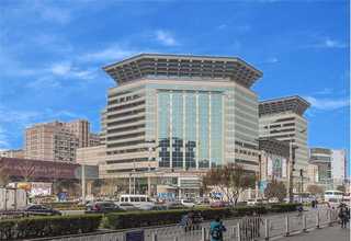 湖南比较好的手工宠物零食好选择