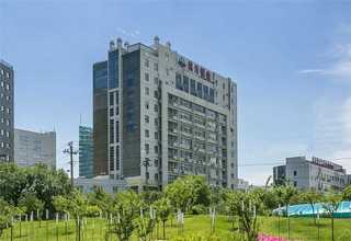 河南鸡排油炸线价格